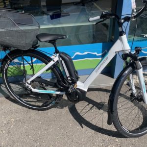 Gepida Reptila Disc 900 CH 10