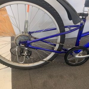 Trailer Bike 24 pouces